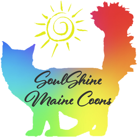 SoulsShineMaineCoons.com