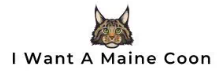 Maine Coon Links